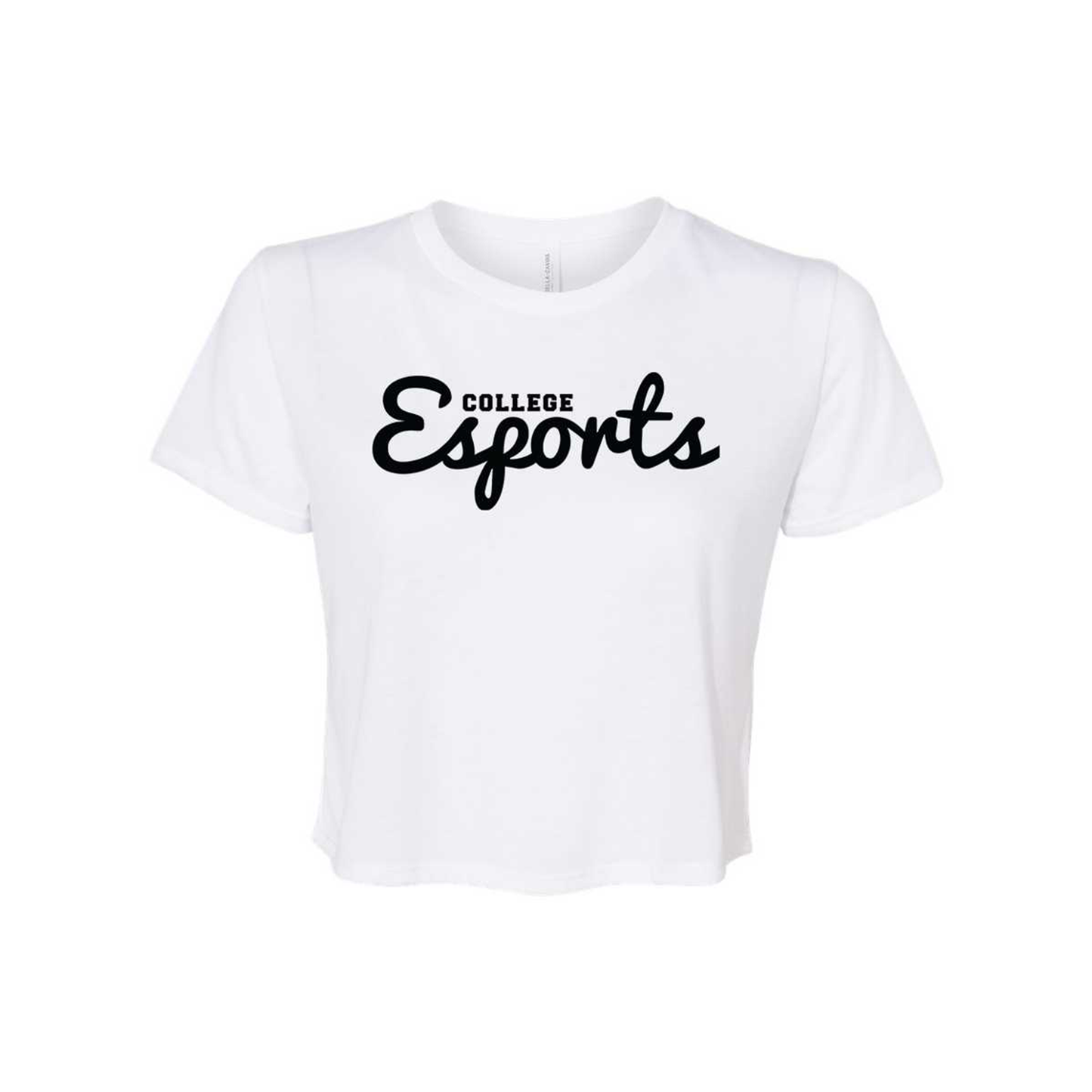 College Esports Vintage Script Ladies Crop Tee