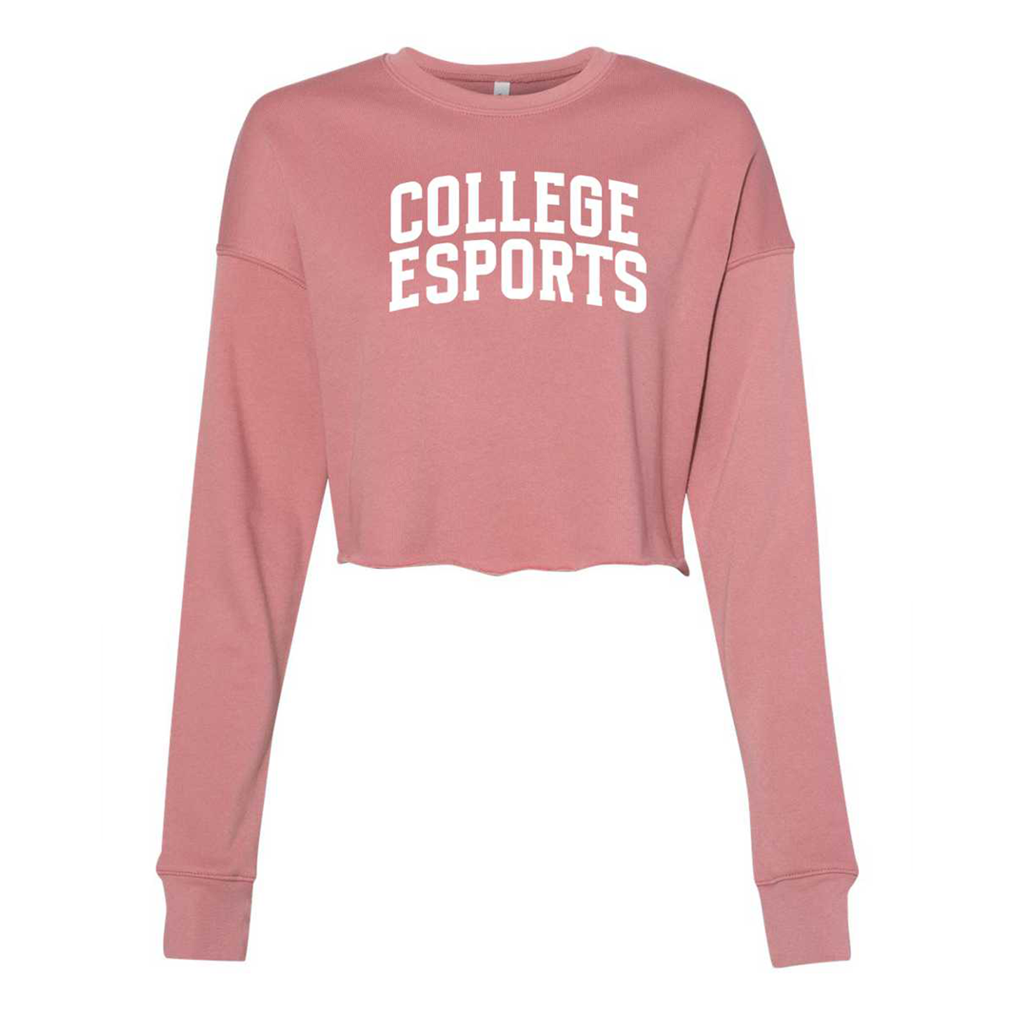 College Esports Arch Crop Long Sleeve Tee
