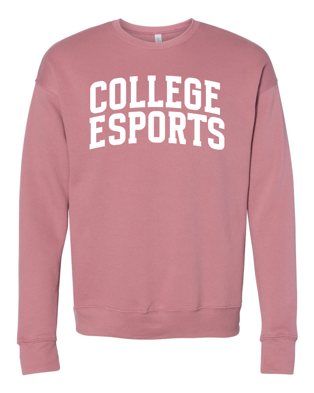 College Esports Arch Drop Shoulder Crew Sweatshirt