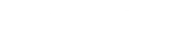 Playfly College Esports